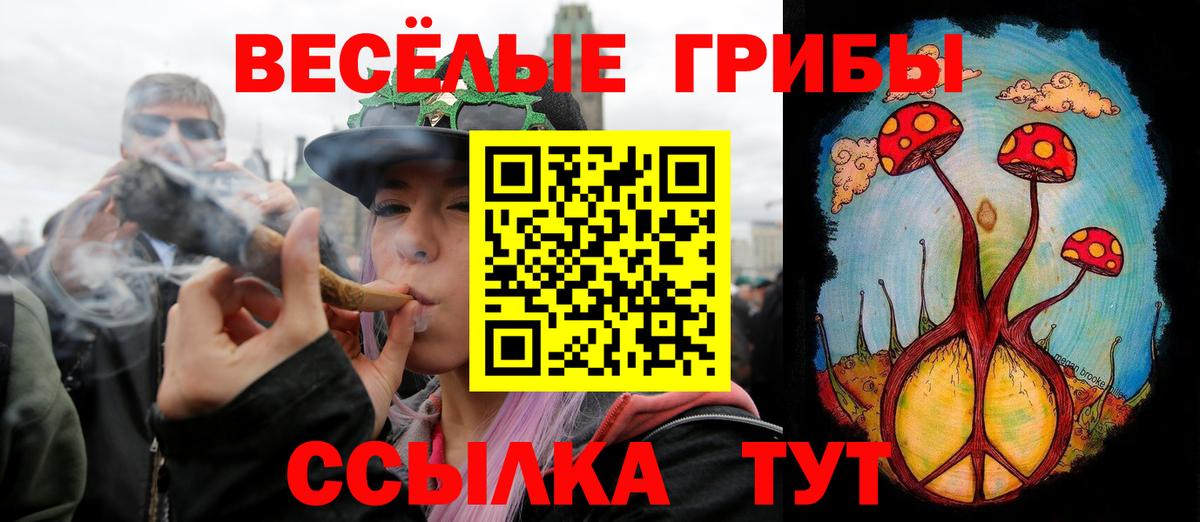 Галлюциногенные грибы Psilocybe  Вход с VPN  Александров 